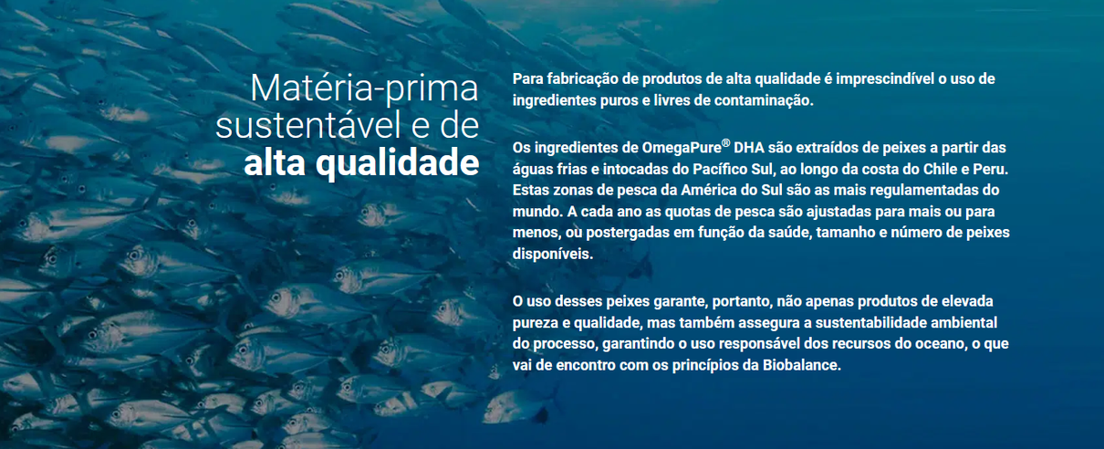 captura de tela 2024 05 02 144256